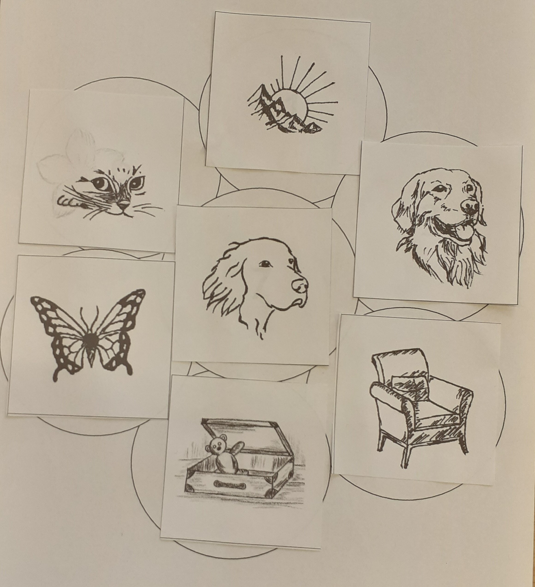 Toto je léčivá květina, obrázky znamenají např. mou nejkrásnější vzpomínku, nejbližšího přítele, co mě vždy rozesměje atd.